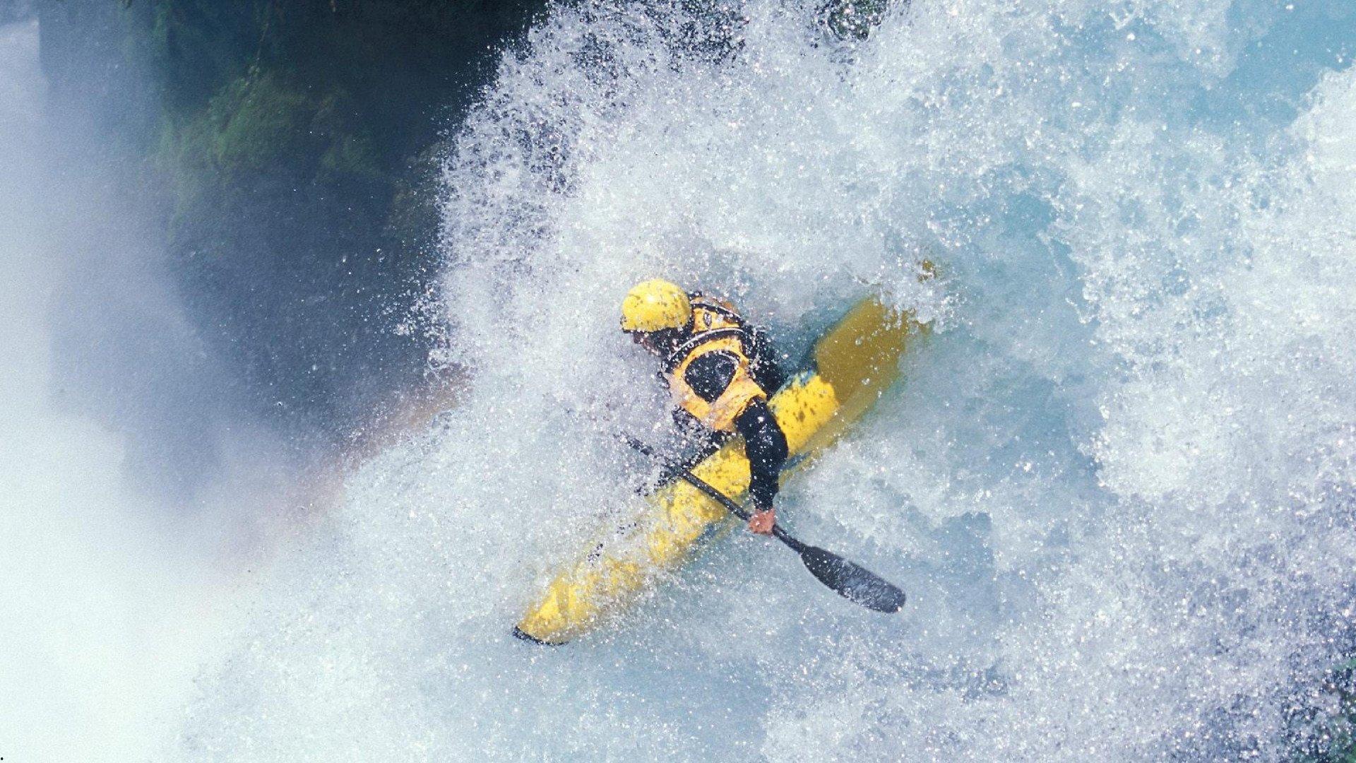 自由泳巅峰对决，世界纪录保持者再创佳绩，新星选手异军突起