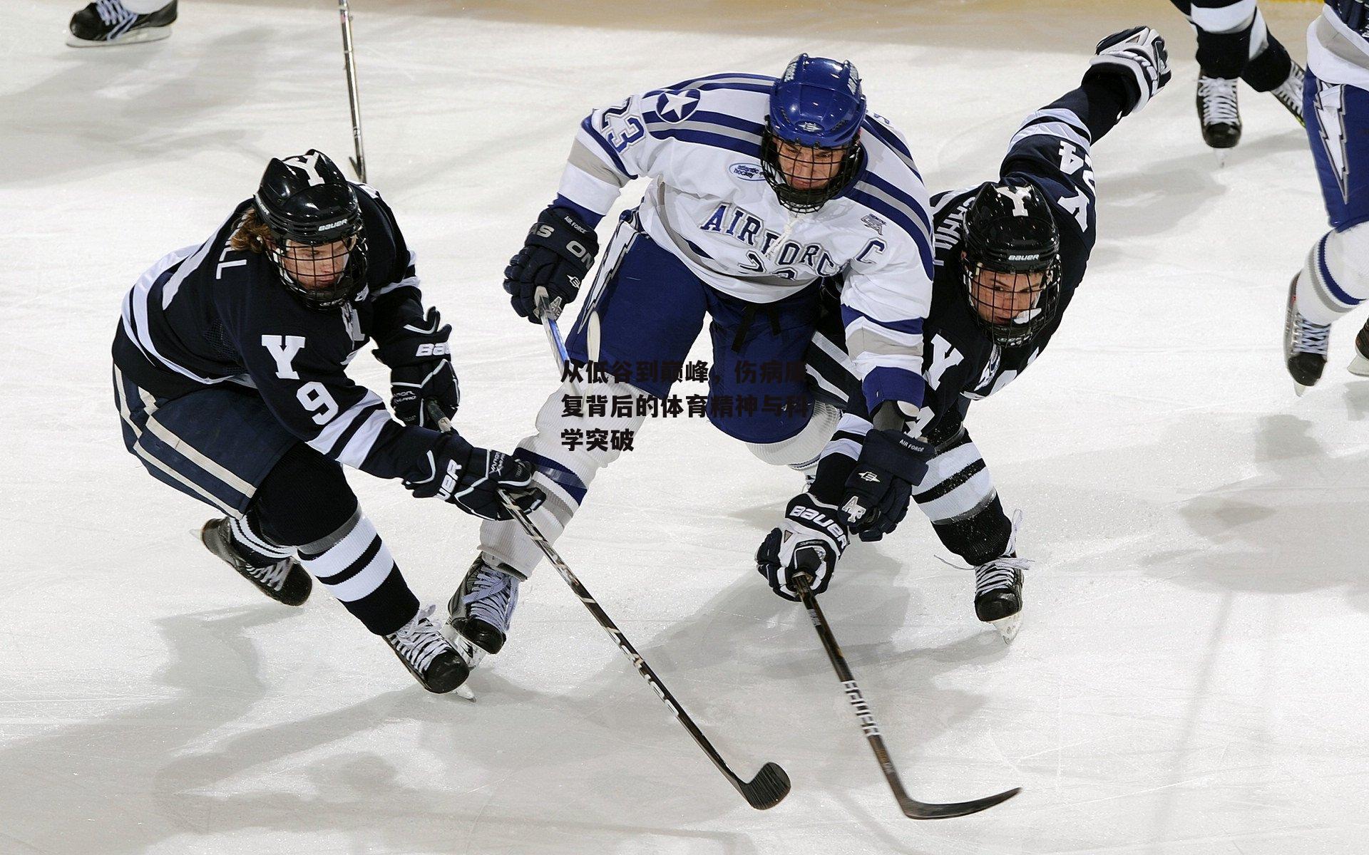 从低谷到巅峰，伤病康复背后的体育精神与科学突破